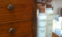 Terra Mater Salon offers a wide variety of Aveda skin, hair and beauty products.